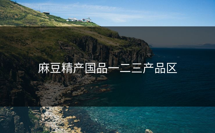 麻豆精产国品一二三产品区