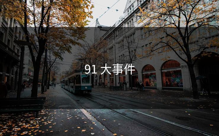 91 大事件