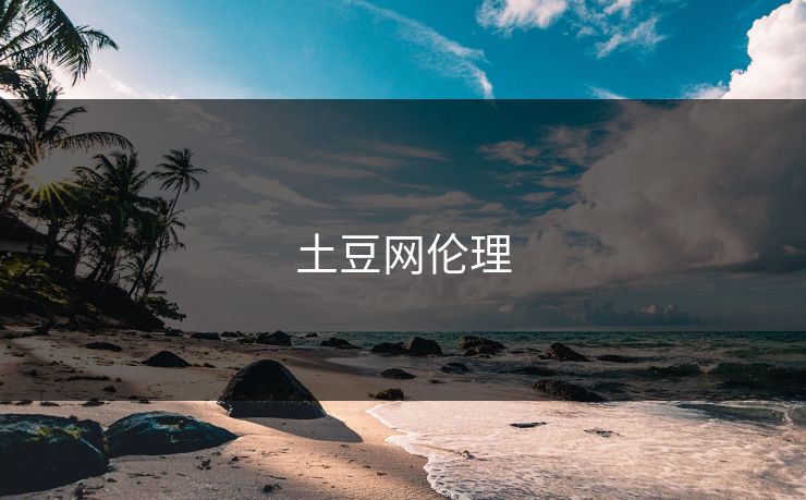 土豆网伦理