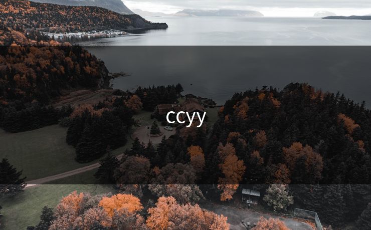 ccyy ccyy