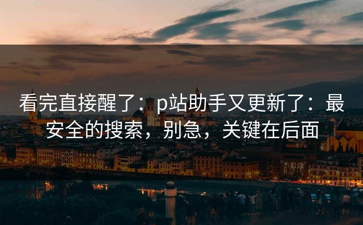 看完直接醒了：p站助手又更新了：最安全的搜索，别急，关键在后面