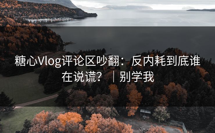 糖心Vlog评论区吵翻：反内耗到底谁在说谎？｜别学我