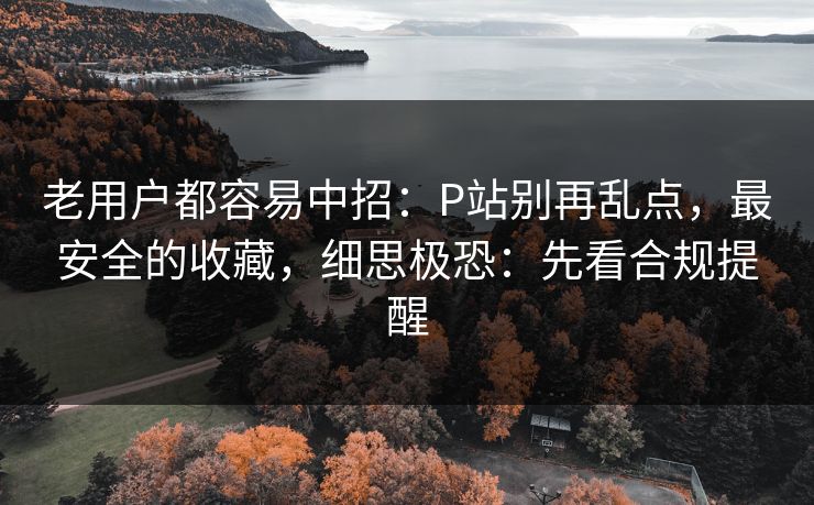 老用户都容易中招：P站别再乱点，最安全的收藏，细思极恐：先看合规提醒